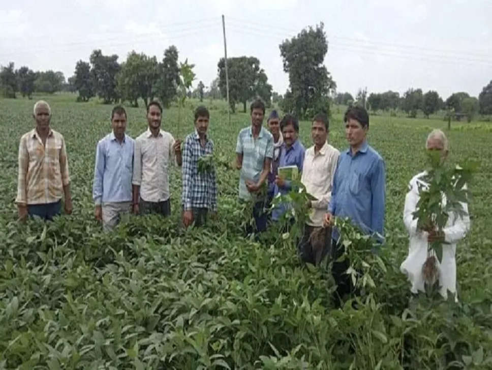हरियाणा में बारिश में खराब हुई फसलों का प्रति एकड़ 15 हजार रुपए मिलेगा मुआवजा, गिरवादरी होगी