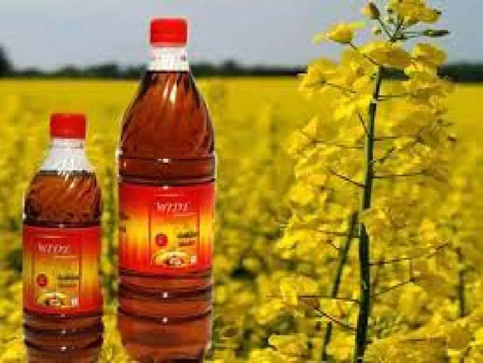 Mustard Oil Price: सरसों के तेल की कीमत ने गरीबों को दी बड़ी राहत, कीमत घटी, जानें ताजा दाम