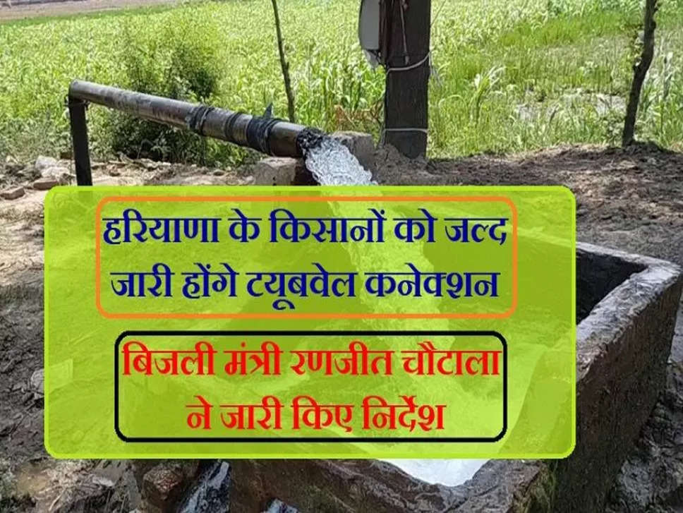 Haryana News: हरियाणा के किसानों को इस तारीख तक मिल जाएंगे टयूबवेल कनेक्शन, बिजली मंत्री ने अधिकारियों को दिए निर्देश