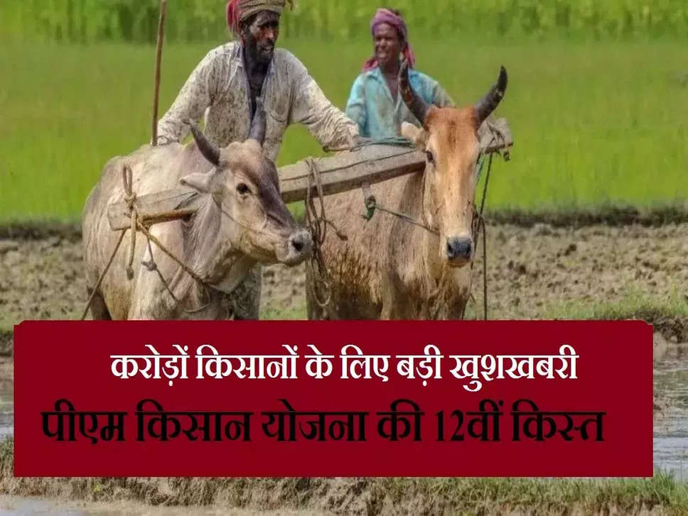 PM Kisan Yojana 12th Installment Date: लाखों किसानों के लिए बड़ी खुशखबरी! पूरी खबर देखें