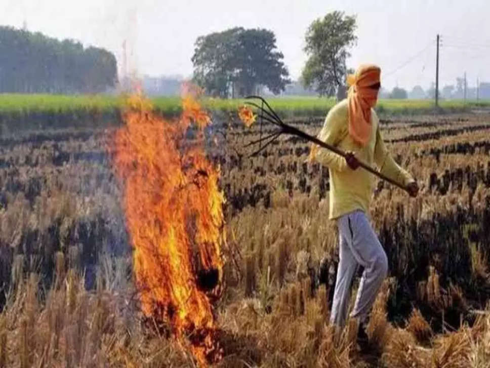 Stubble Burning: पराली जाने वाले किसानों पर प्रशासन हुआ सख्त, येलो ज़ोन में रखे गए यमुनानगर ज़िले के 28 गांव