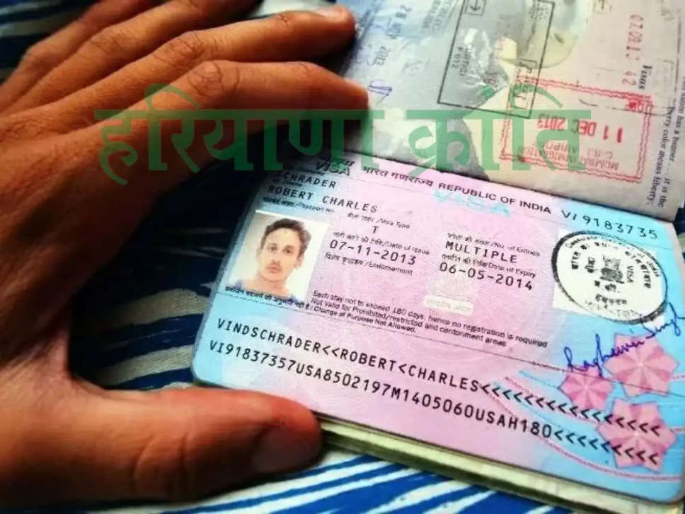Multiple-entry visa