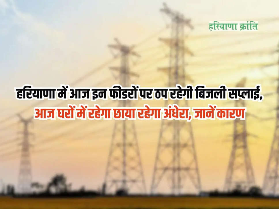 Haryana Electricity