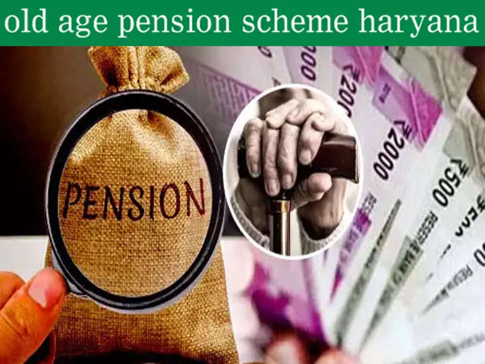 haryana news hindi, pension policy, old age pension, haribhoomi news hindi,हरियाणा समाचार हिंदी, पेंशन नीति, वृद्धावस्था पेंशन